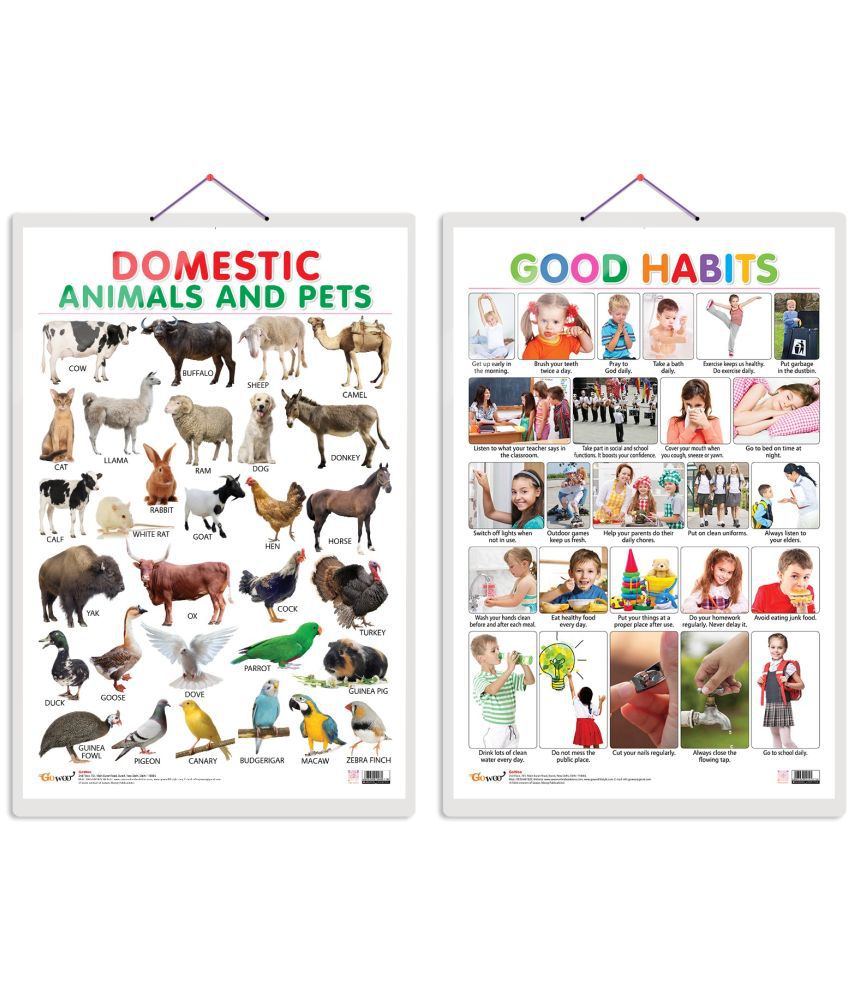     			Set of 2 Domestic Animals and Pets and Good Habits Early Learning Educational Charts for Kids | 20"X30" inch |Non-Tearable and Waterproof | Double Sided Laminated | Perfect for Homeschooling, Kindergarten and Nursery Students