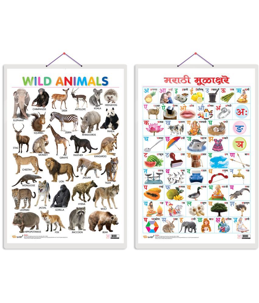     			Set of 2 Wild Animals and Marathi Varnamala (Marathi) Early Learning Educational Charts for Kids | 20"X30" inch |Non-Tearable and Waterproof | Double Sided Laminated | Perfect for Homeschooling, Kindergarten and Nursery Students