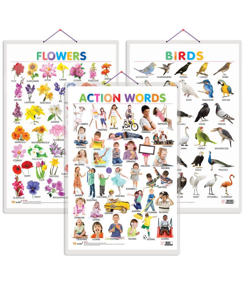     			Set of 3 Birds, Flowers and Action Words Early Learning Educational Charts for Kids | 20"X30" inch |Non-Tearable and Waterproof | Double Sided Laminated | Perfect for Homeschooling, Kindergarten and Nursery Students