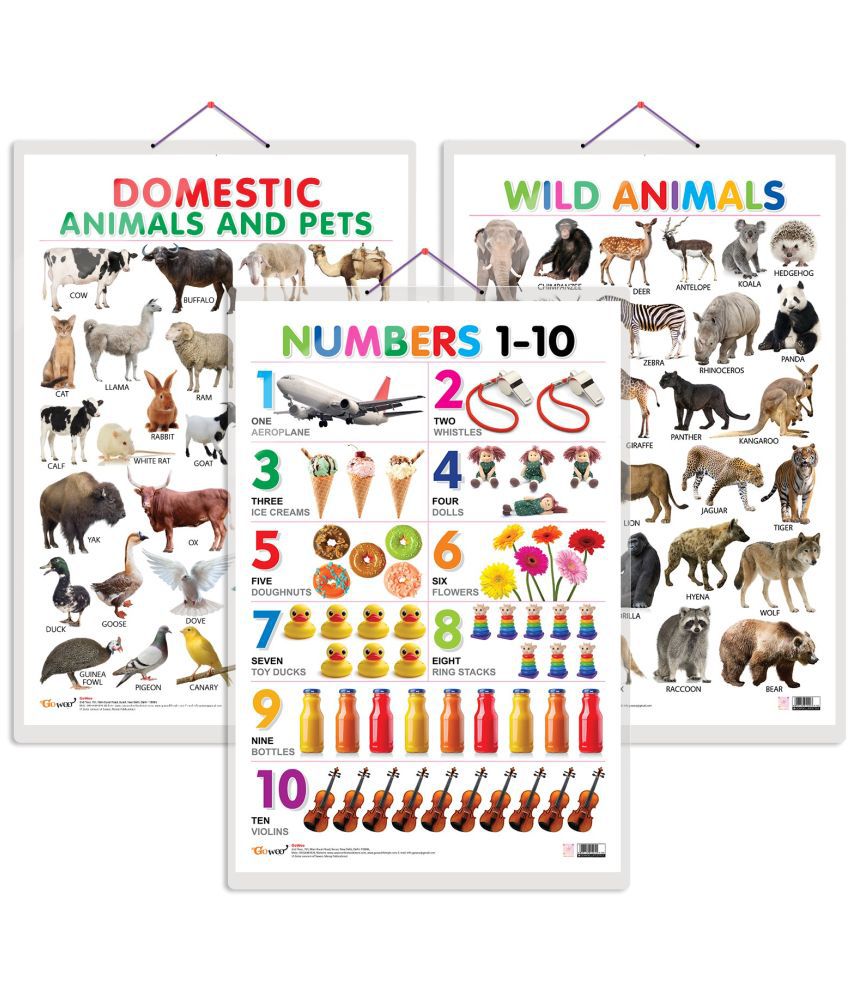     			Set of 3 Domestic Animals and Pets, Wild Animals and Numbers 1-10 Early Learning Educational Charts for Kids | 20"X30" inch |Non-Tearable and Waterproof | Double Sided Laminated | Perfect for Homeschooling, Kindergarten and Nursery Students