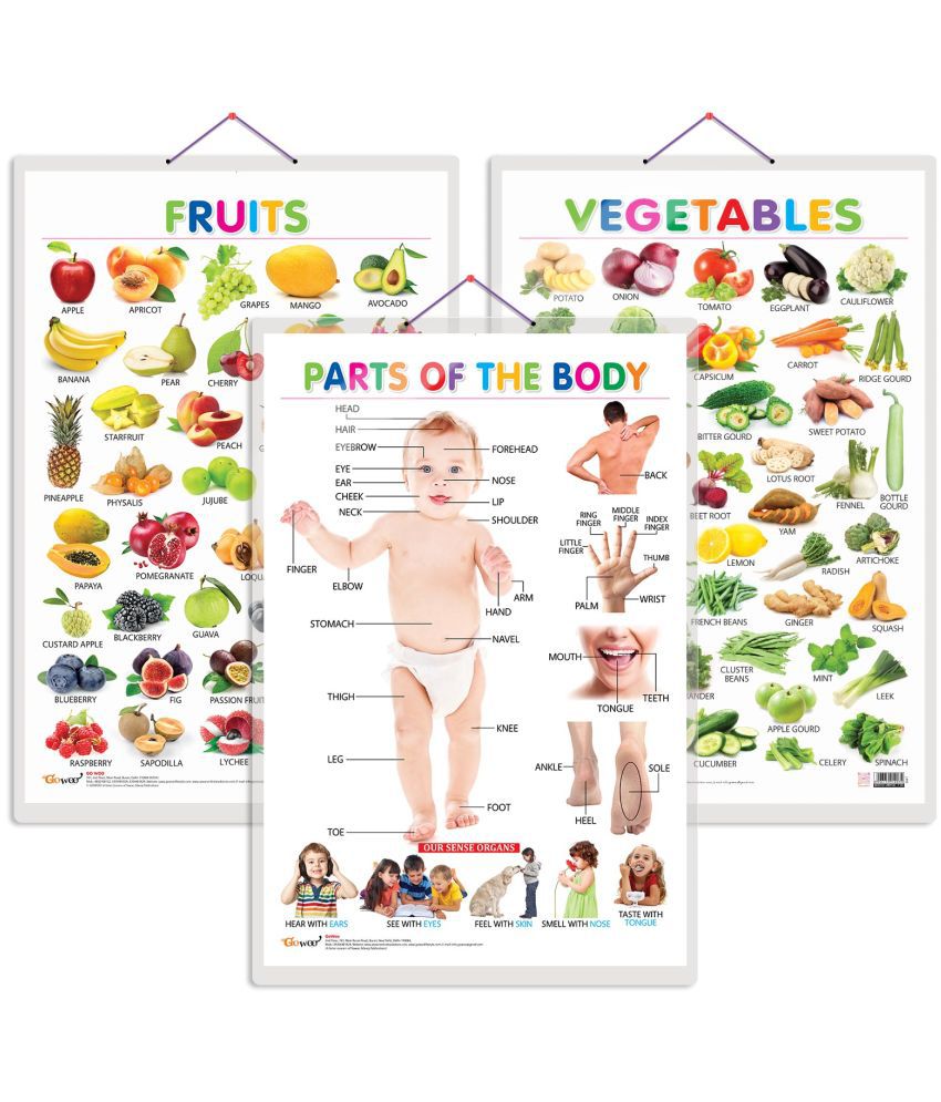     			Set of 3 Fruits, Vegetables and Parts of the Body Early Learning Educational Charts for Kids | 20"X30" inch |Non-Tearable and Waterproof | Double Sided Laminated | Perfect for Homeschooling, Kindergarten and Nursery Students