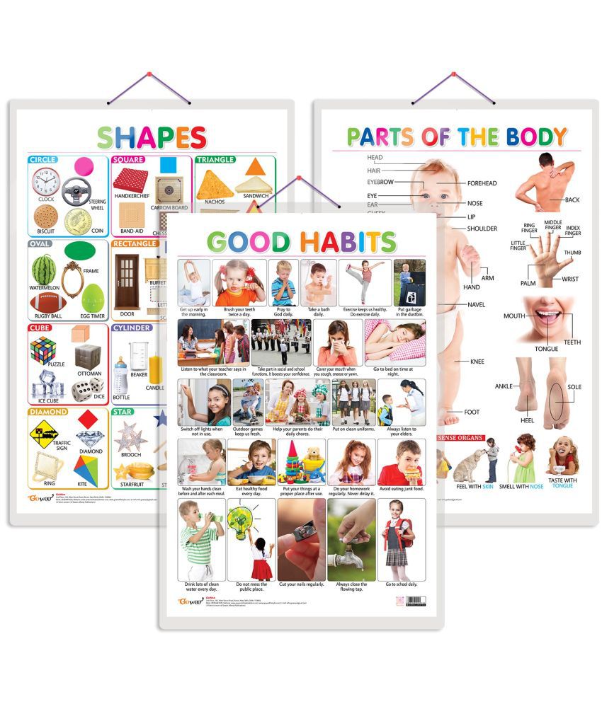     			Set of 3 Shapes, Parts of the Body and Good Habits Chart for Kids | 20"X30" inch |Non-Tearable and Waterproof | Double Sided Laminated | Perfect for Homeschooling, Kindergarten and Nursery Students