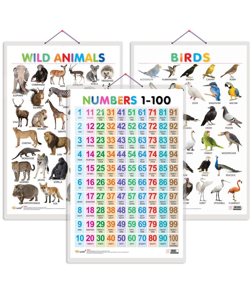     			Set of 3 Wild Animals, Birds and Numbers 1-100 Early Learning Educational Charts for Kids | 20"X30" inch |Non-Tearable and Waterproof | Double Sided Laminated | Perfect for Homeschooling, Kindergarten and Nursery Students