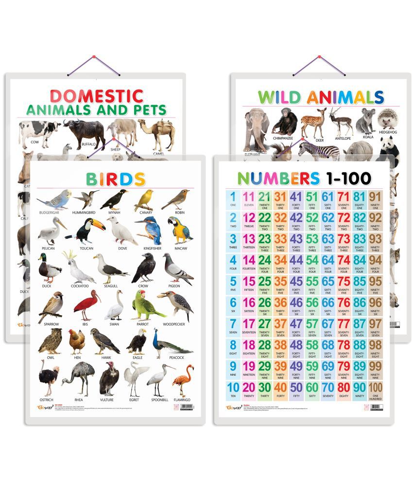     			Set of 4 Domestic Animals and Pets, Wild Animals, Birds and Numbers 1-100 Early Learning Educational Charts for Kids | 20"X30" inch |Non-Tearable and Waterproof | Double Sided Laminated | Perfect for Homeschooling, Kindergarten and Nursery Students