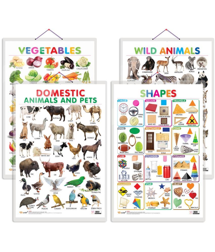     			Set of 4 Vegetables, Domestic Animals and Pets, Wild Animals and Shapes Early Learning Educational Charts for Kids | 20"X30" inch |Non-Tearable and Waterproof | Double Sided Laminated | Perfect for Homeschooling, Kindergarten and Nursery Students