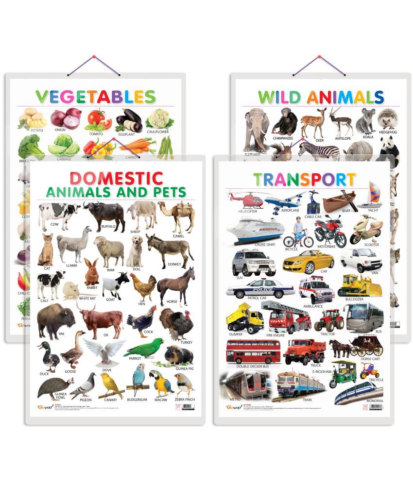     			Set of 4 Vegetables, Domestic Animals and Pets, Wild Animals and Transport Early Learning Educational Charts for Kids | 20"X30" inch |Non-Tearable and Waterproof | Double Sided Laminated | Perfect for Homeschooling, Kindergarten and Nursery Students