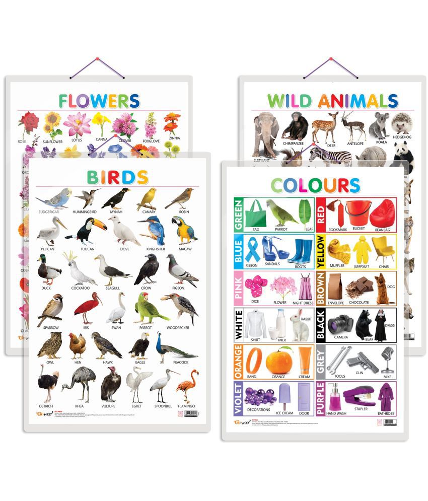     			Set of 4 Wild Animals, Birds, Flowers and Colours Early Learning Educational Charts for Kids | 20"X30" inch |Non-Tearable and Waterproof | Double Sided Laminated | Perfect for Homeschooling, Kindergarten and Nursery Students