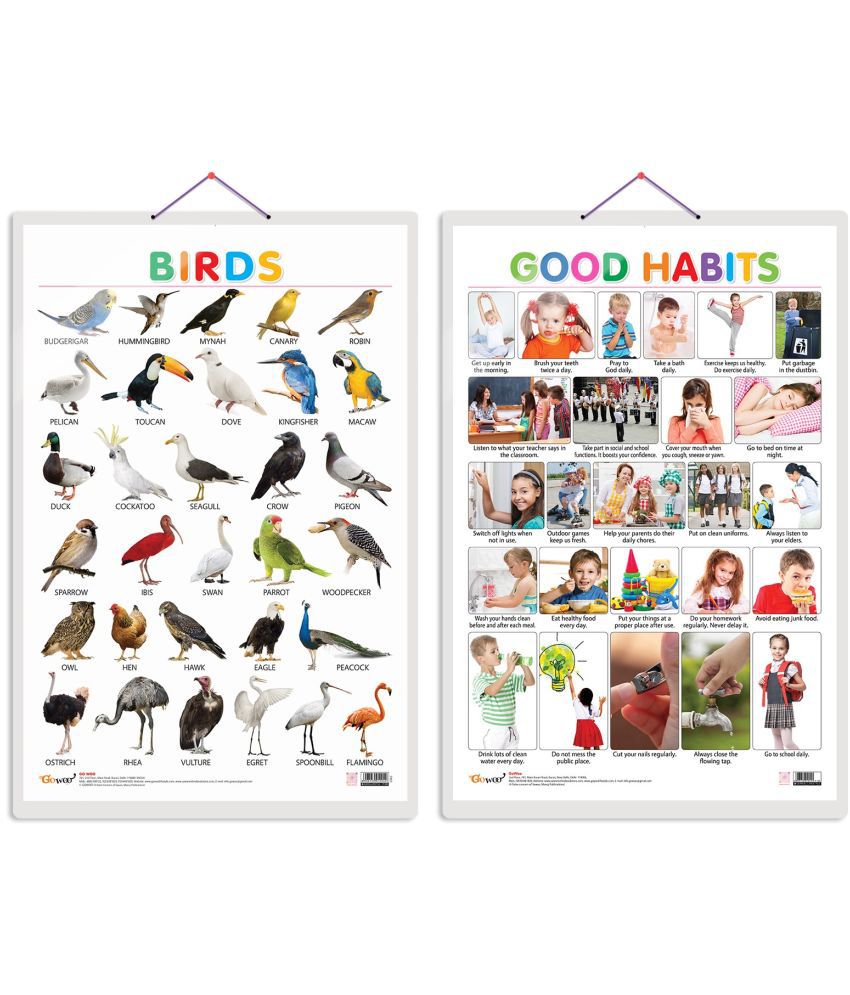     			Set of 2 Birds and Good Habits Early Learning Educational Charts for Kids | 20"X30" inch |Non-Tearable and Waterproof | Double Sided Laminated | Perfect for Homeschooling, Kindergarten and Nursery Students