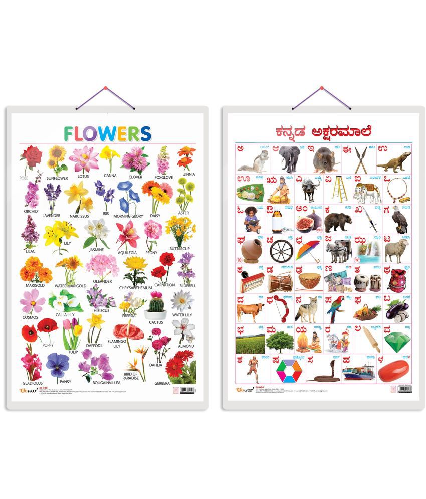     			Set of 2 Flowers and Kannada Alphabet Early Learning Educational Charts for Kids | 20"X30" inch |Non-Tearable and Waterproof | Double Sided Laminated | Perfect for Homeschooling, Kindergarten and Nursery Students