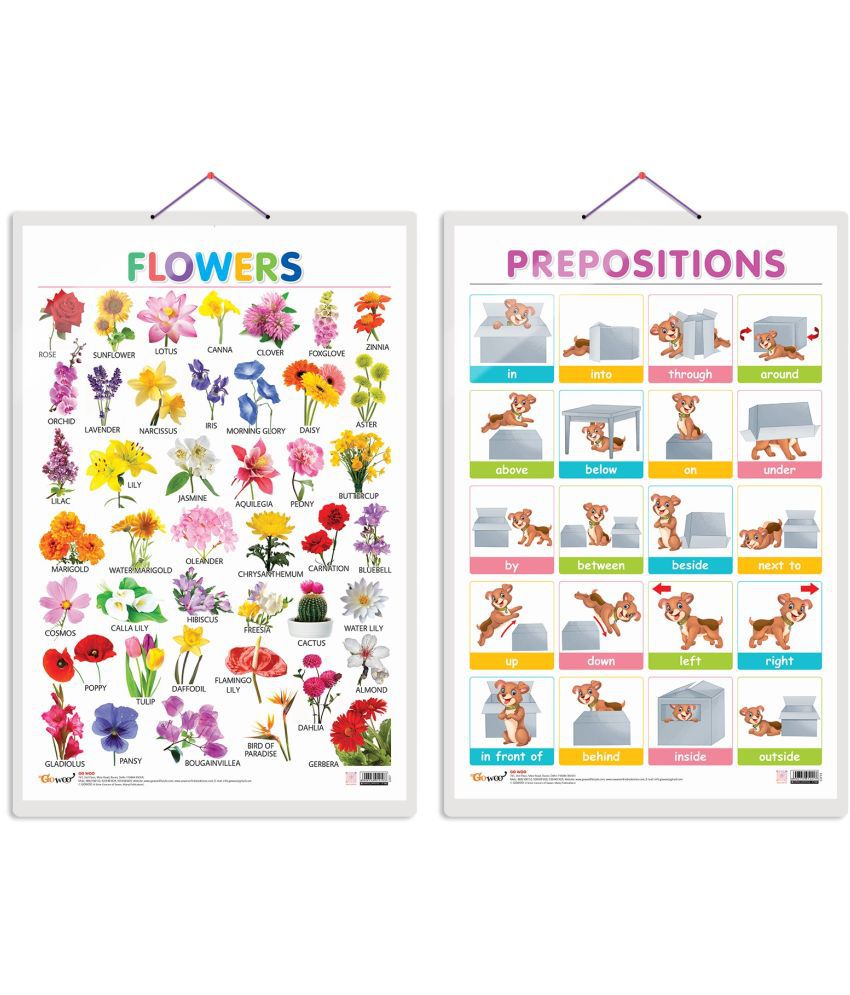     			Set of 2 Flowers and PREPOSITIONS Early Learning Educational Charts for Kids | 20"X30" inch |Non-Tearable and Waterproof | Double Sided Laminated | Perfect for Homeschooling, Kindergarten and Nursery Students