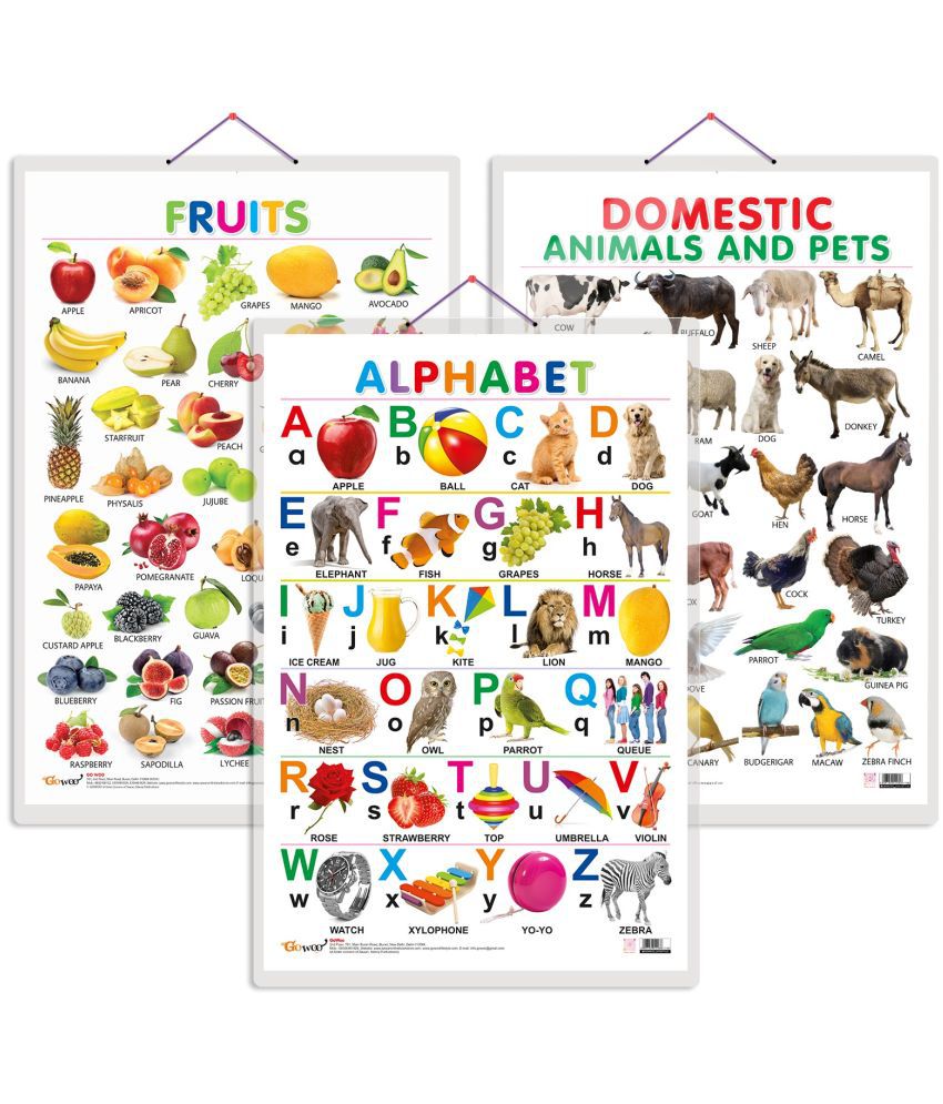    			Set of 3 Alphabet, Fruits and Domestic Animals and Pets Early Learning Educational Charts for Kids | 20"X30" inch |Non-Tearable and Waterproof | Double Sided Laminated | Perfect for Homeschooling, Kindergarten and Nursery Students