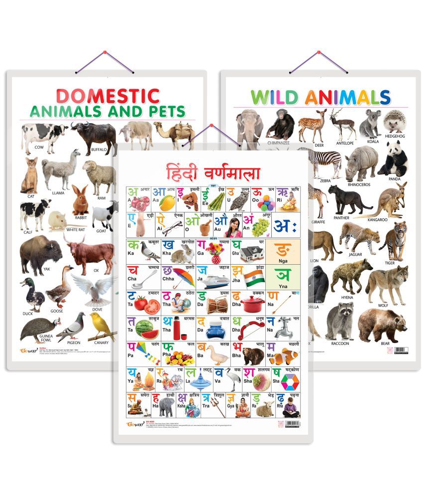     			Set of 3 Domestic Animals and Pets, Wild Animals and Hindi Varnamala Early Learning Educational Charts for Kids | 20"X30" inch |Non-Tearable and Waterproof | Double Sided Laminated | Perfect for Homeschooling, Kindergarten and Nursery Students
