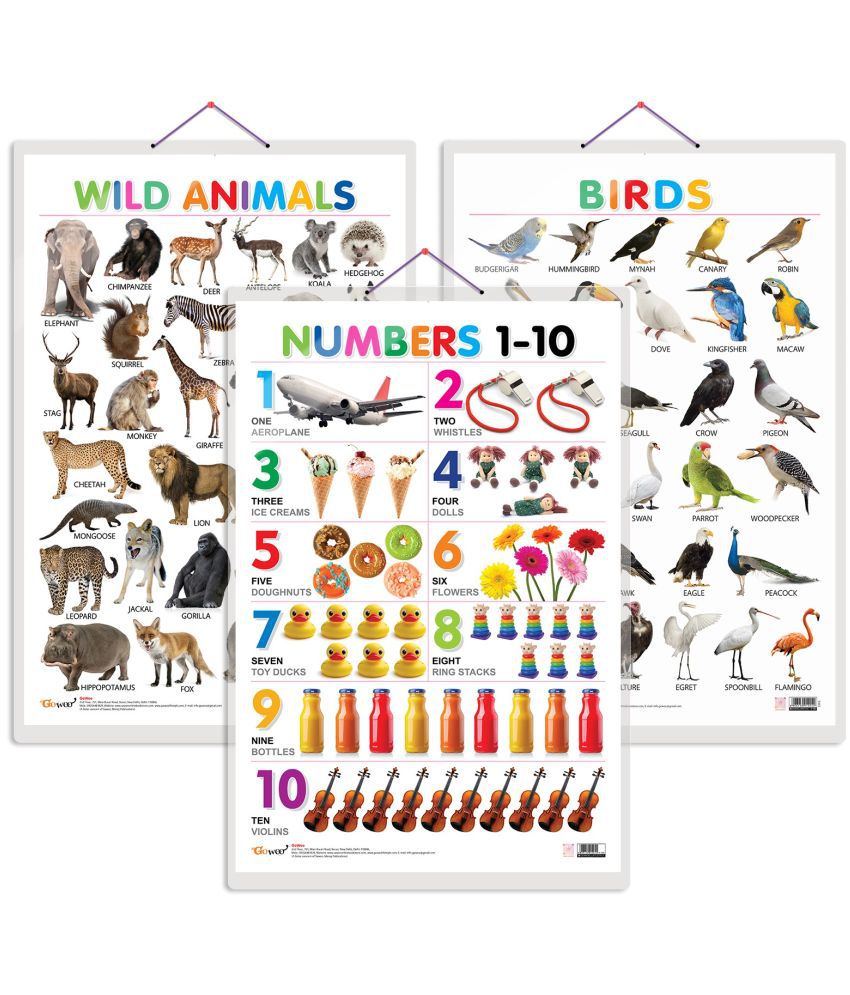     			Set of 3 Wild Animals, Birds and Numbers 1-10 Early Learning Educational Charts for Kids | 20"X30" inch |Non-Tearable and Waterproof | Double Sided Laminated | Perfect for Homeschooling, Kindergarten and Nursery Students