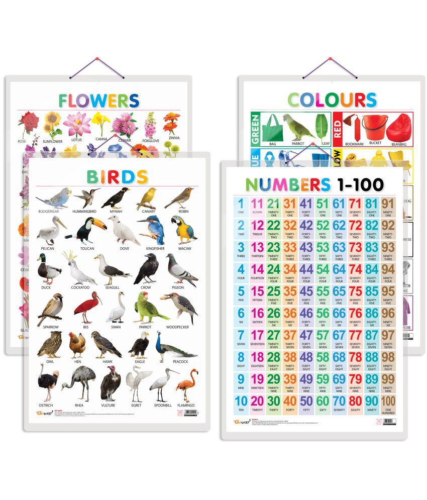     			Set of 4 Birds, Flowers, Colours and Numbers 1-100 Early Learning Educational Charts for Kids | 20"X30" inch |Non-Tearable and Waterproof | Double Sided Laminated | Perfect for Homeschooling, Kindergarten and Nursery Students