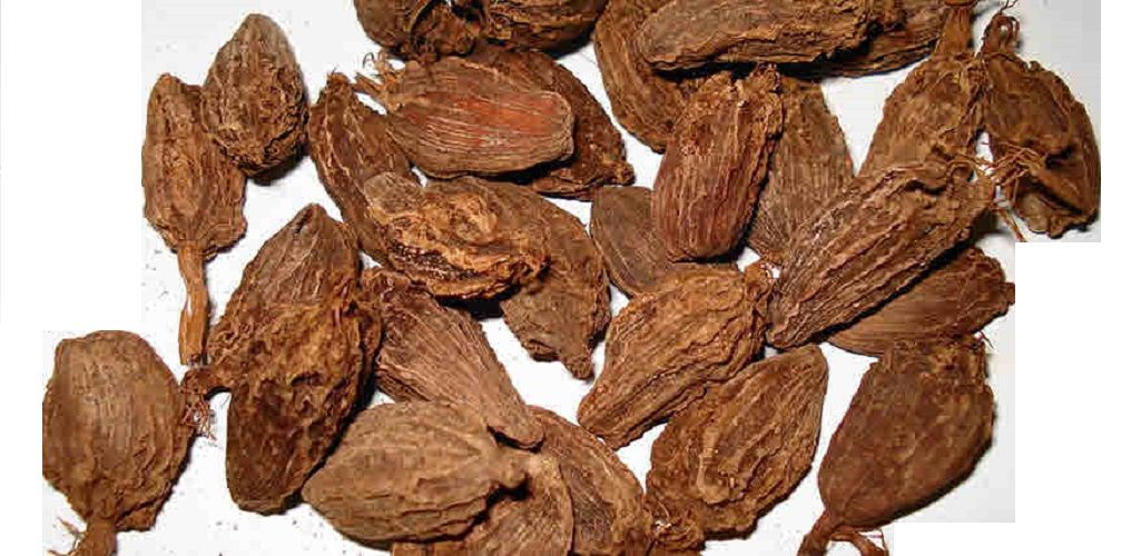     			VINARGHYA Bhadra / Badi Elaichi / Aliach / Big Nepal cardamom / Mothi Elayachi 100 gm