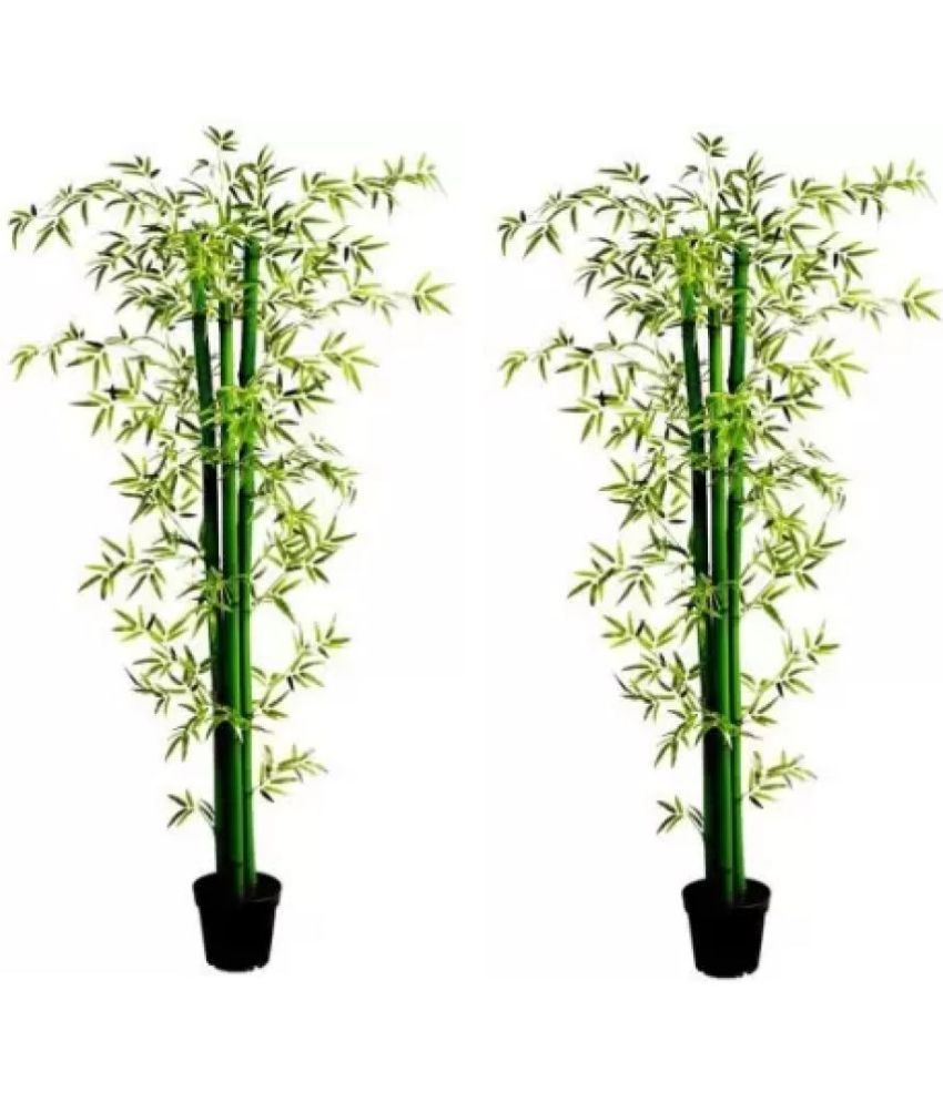     			Green plant indoor - Green Wild Artificial Tree ( Pack of 2 )