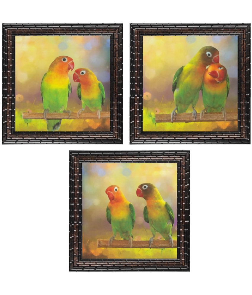    			Indianara - Bird Painting With Frame