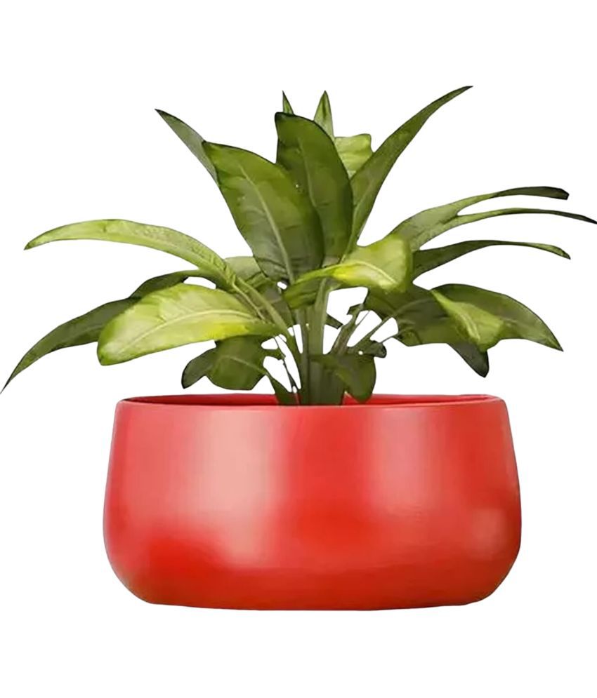     			HOMSSY - Red Metal Flower Pot ( Pack of 1 )