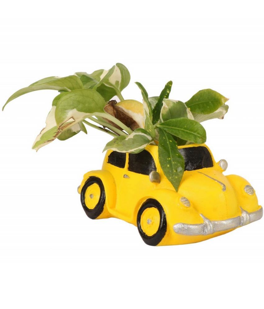     			Home Lane Yellow Resin Desk Planters ( Pack of 1 )