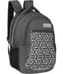 Kyros Grey Polyester Backpack ( 45 litres )