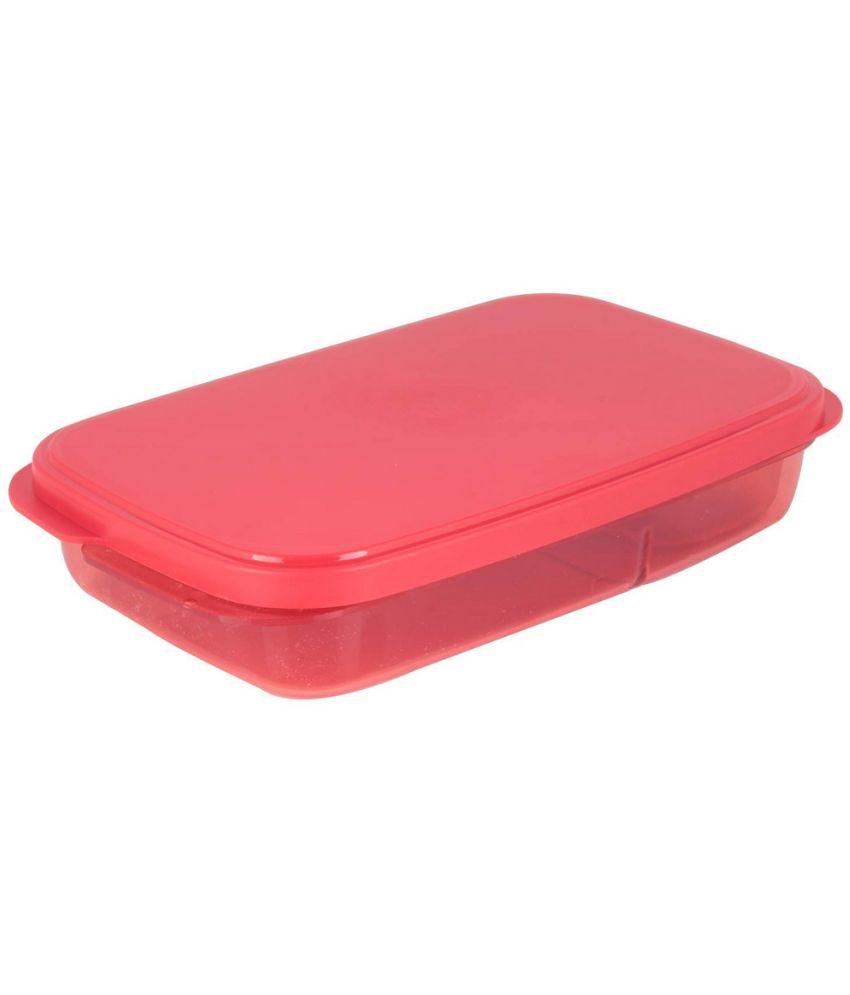     			TISYAA Divine Lunch Box Plastic Lunch Box 2 - Container ( Pack of 1 )