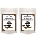 Park Daniel Hair Building Fiber Instant Fuller Hair (Black) 25 gm Pack of 2