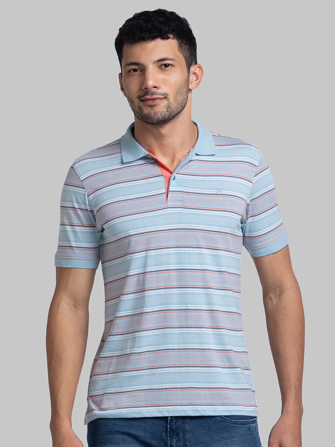     			Raymond Cotton Regular Fit Striped Half Sleeves Men's T-Shirt - Blue ( Pack of 1 )
