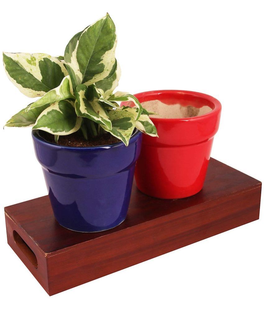     			Leafy Tales Multicolor Ceramic Ceramic Planters ( Pack of 2 )