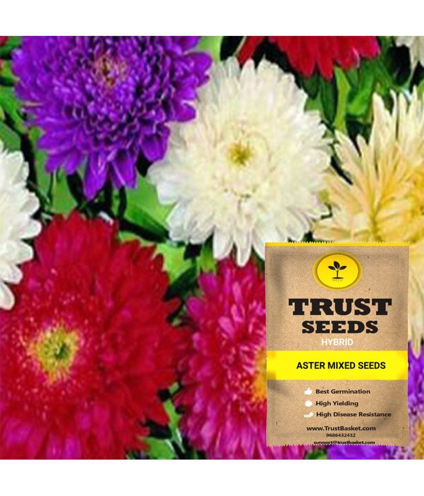     			TrustBasket Aster Mixed Flowers Seeds Hybrid (15 Seeds)