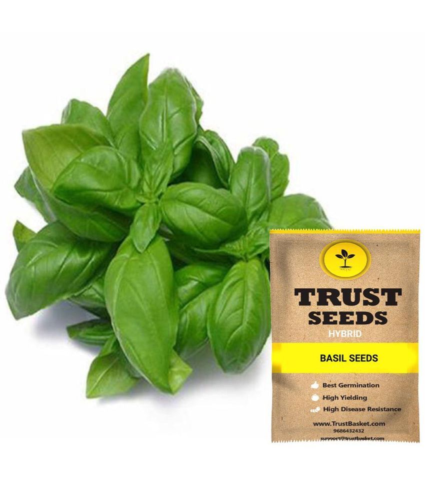     			TrustBasket Basil Hybrid (15 Seeds)