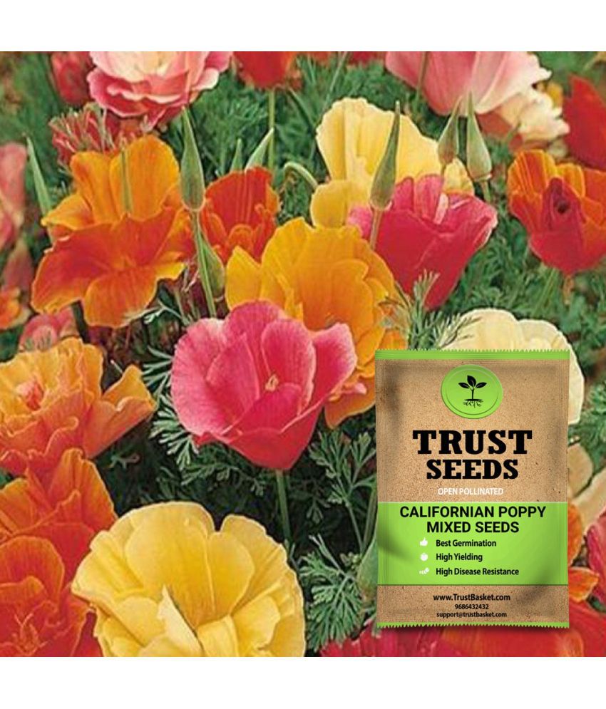     			TrustBasket Open Pollinated Californian Poppy Mixed Seeds (15 Seeds)