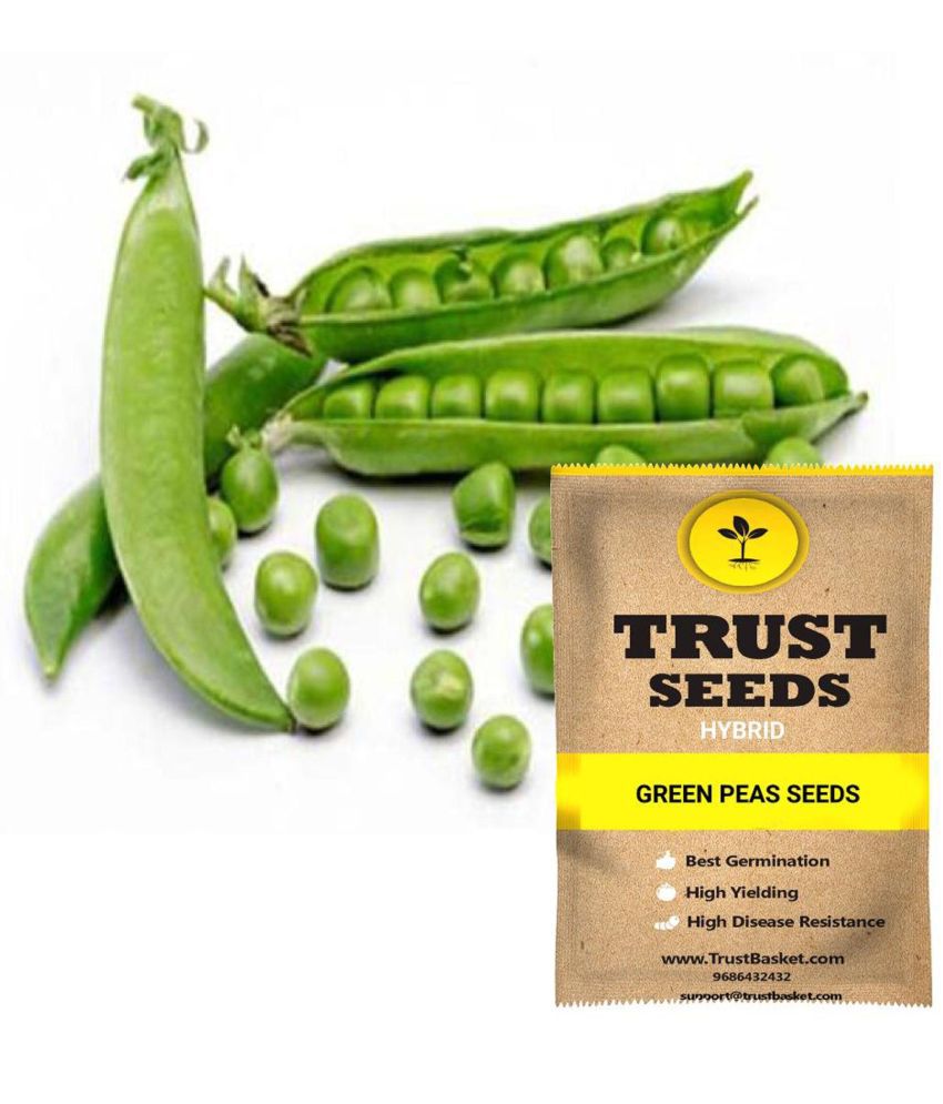     			TrustBasket Green Peas Vegetable Seeds Hybrid (15 Seeds)