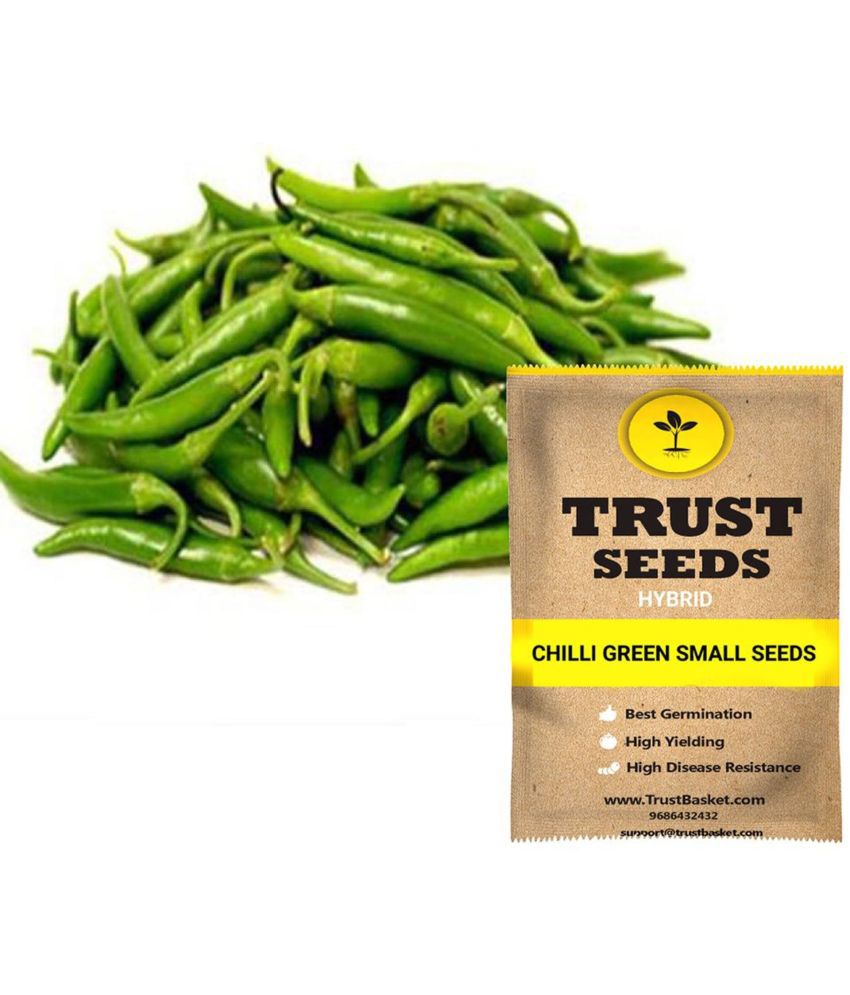     			TrustBasket Small Chilli Vegetable Seeds Hybrid (15 Seeds)