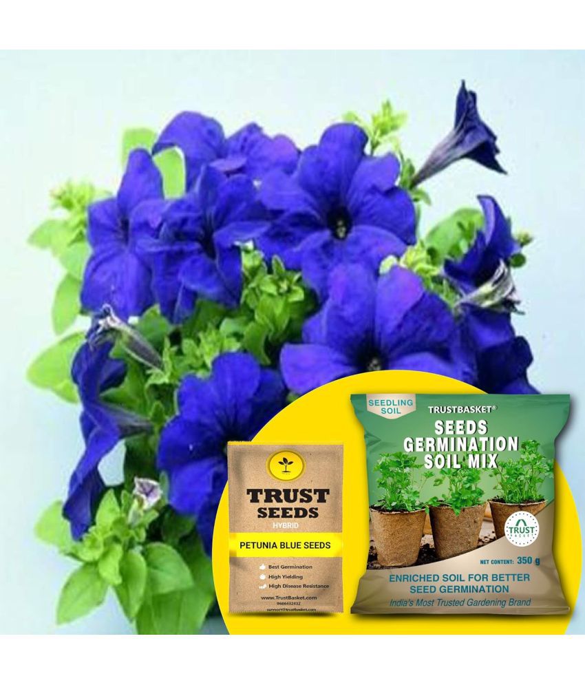     			TrustBasket Petunia Blue Seeds with Free Germination Potting Soil Mix Hybrid (20 Seeds)