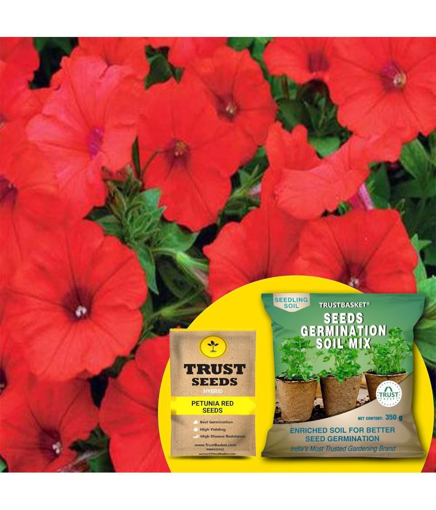     			TrustBasket Petunia Red Seeds (Hybrid) with Free Germination Potting Soil Mix (20 Seeds)