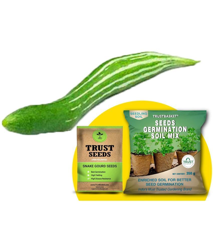     			TrustBasket Snake Gourd Seeds(OP) with Free Germination Potting Soil Mix (20 Seeds)