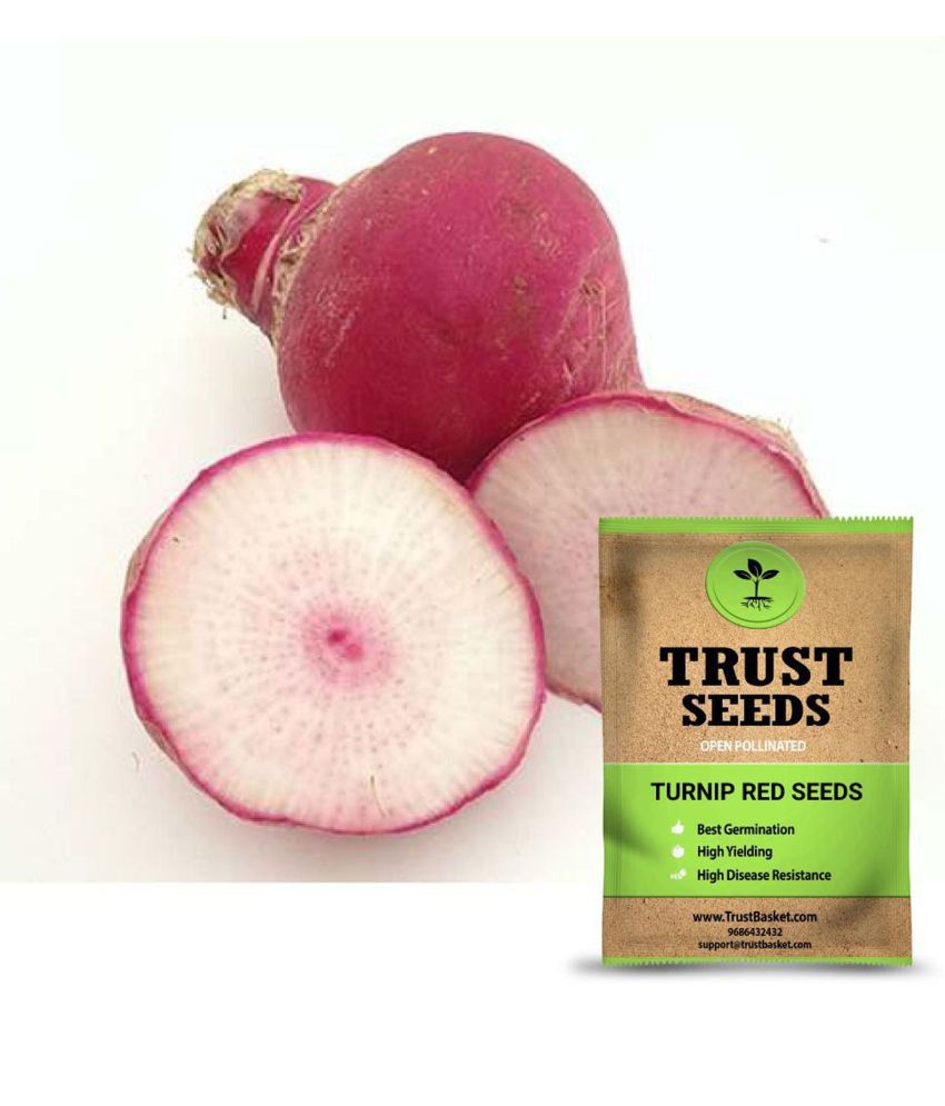     			TrustBasket Turnip Red Seeds OP (15 Seeds)