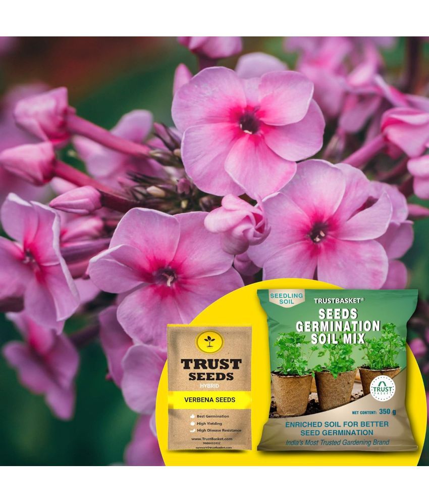     			TrustBasket Verbena Seeds with Free Germination Potting Soil Mix Hybrid (20 Seeds)