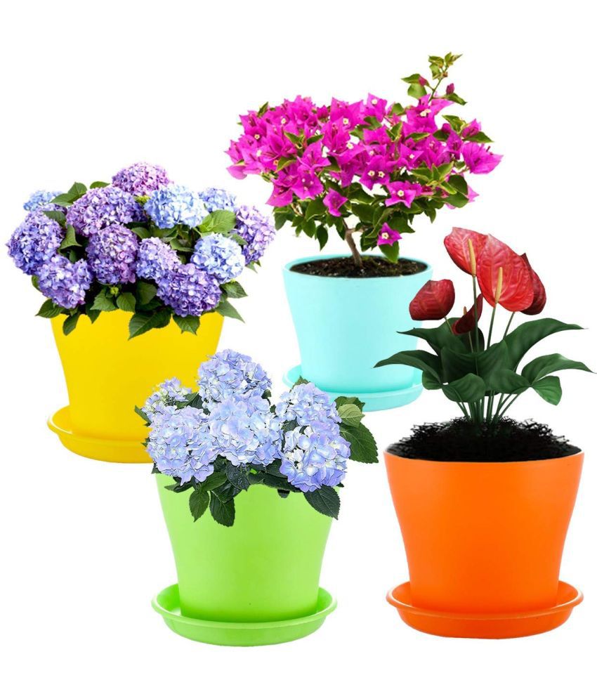     			10Club Multicolor Plastic Flower Pot ( Pack of 4 )