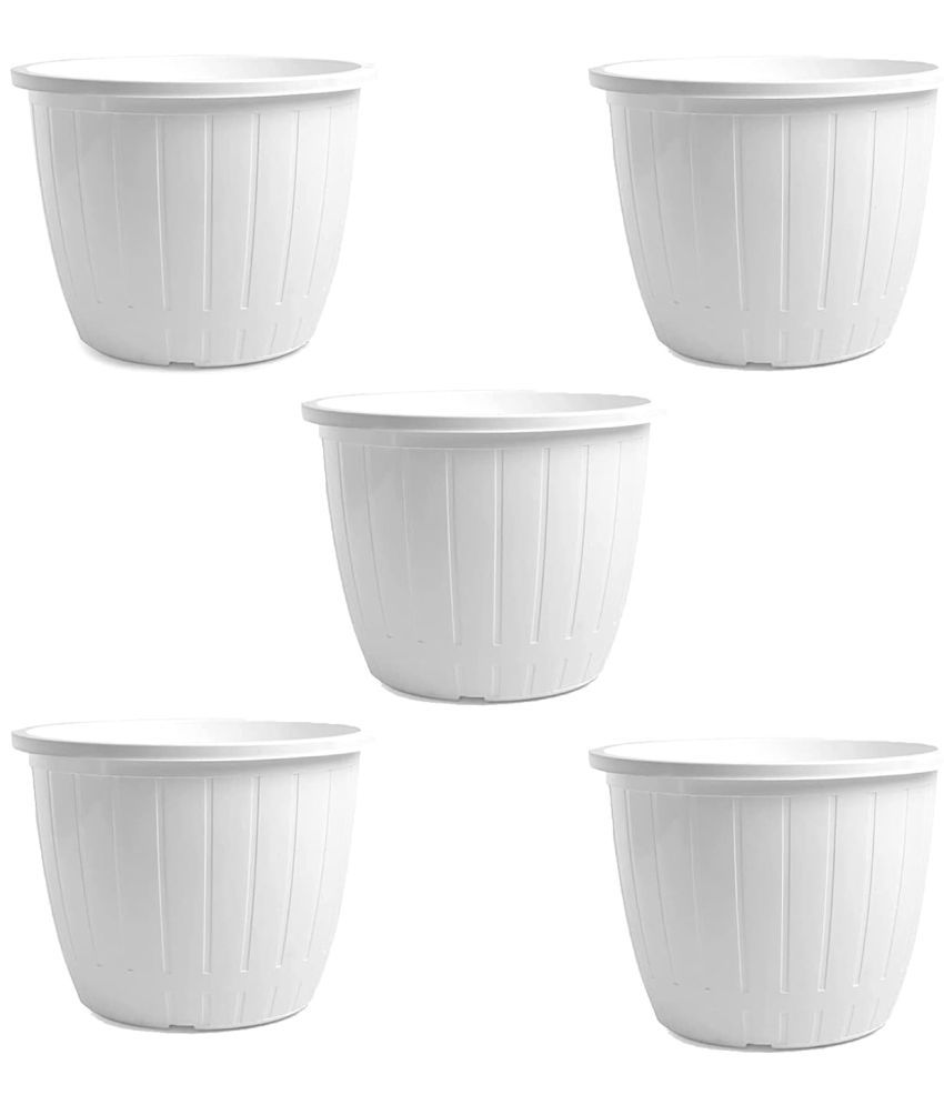     			10Club White Plastic Flower Pot ( Pack of 5 )