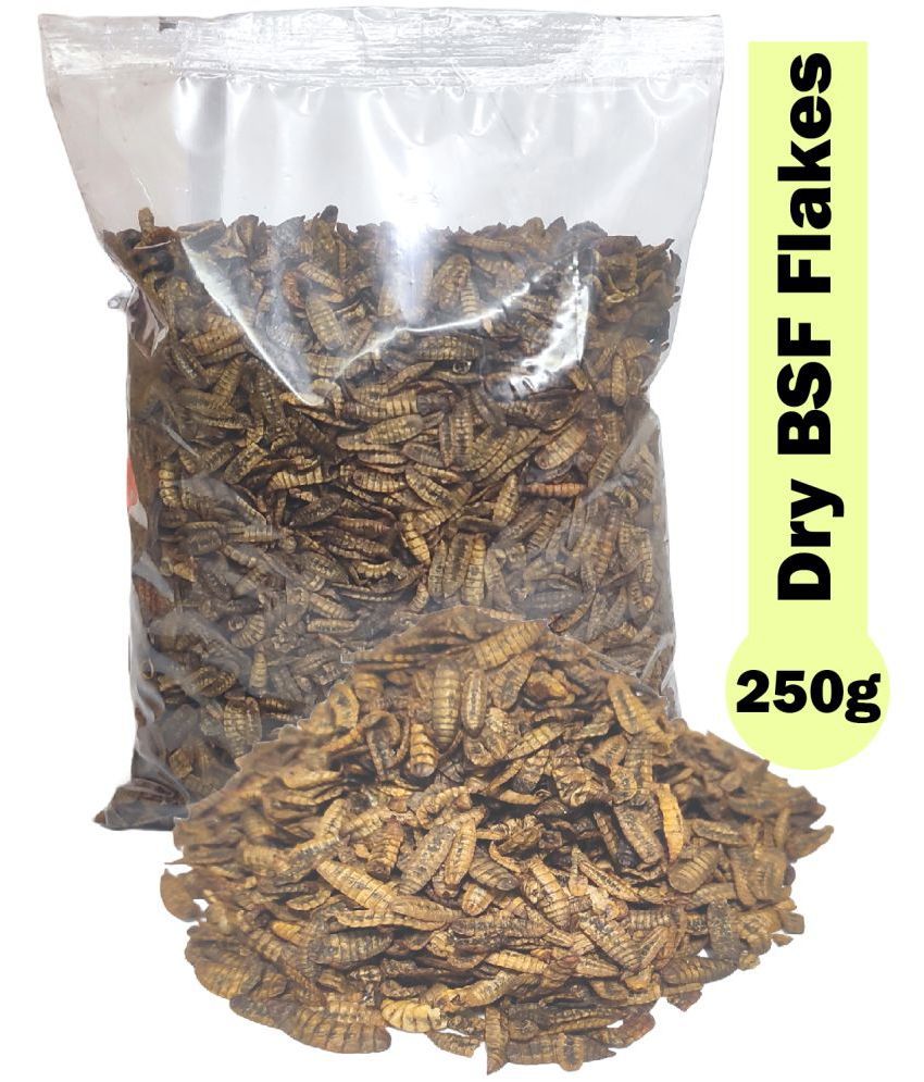     			Dried Black Soldier Fly Larvae - 100% Natural, Protein Rich Fish Food for Arowana, Flower Horn, Oscar, Fighter, Angelfish, Molly, Koi, Cichlids,