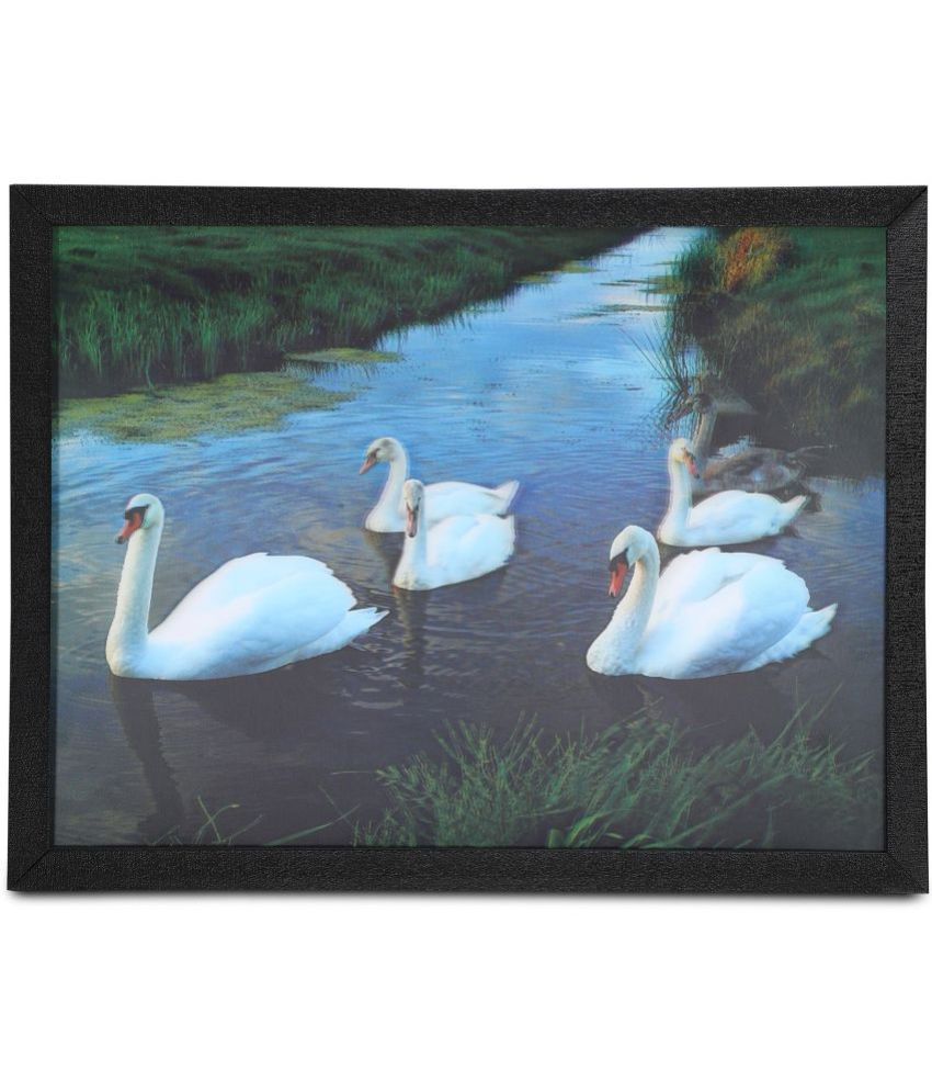     			Saf 5D Bird Painting With Frame