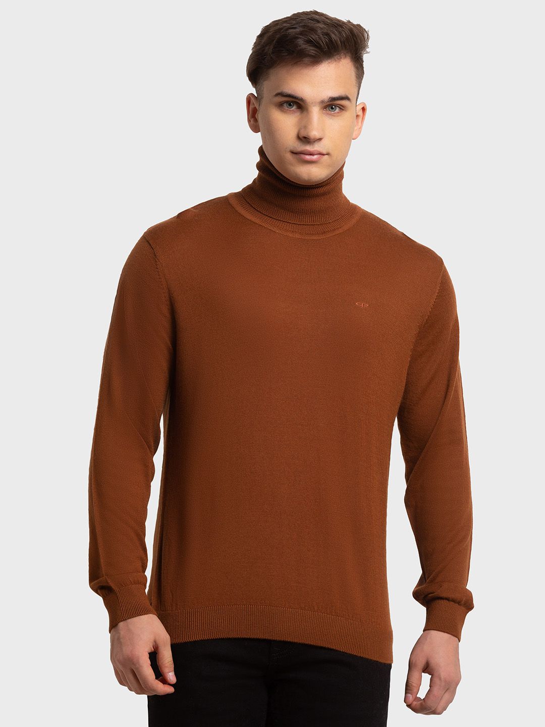     			Colorplus Acrylic High Neck Men's Full Sleeves Pullover Sweater - Brown ( Pack of 1 )