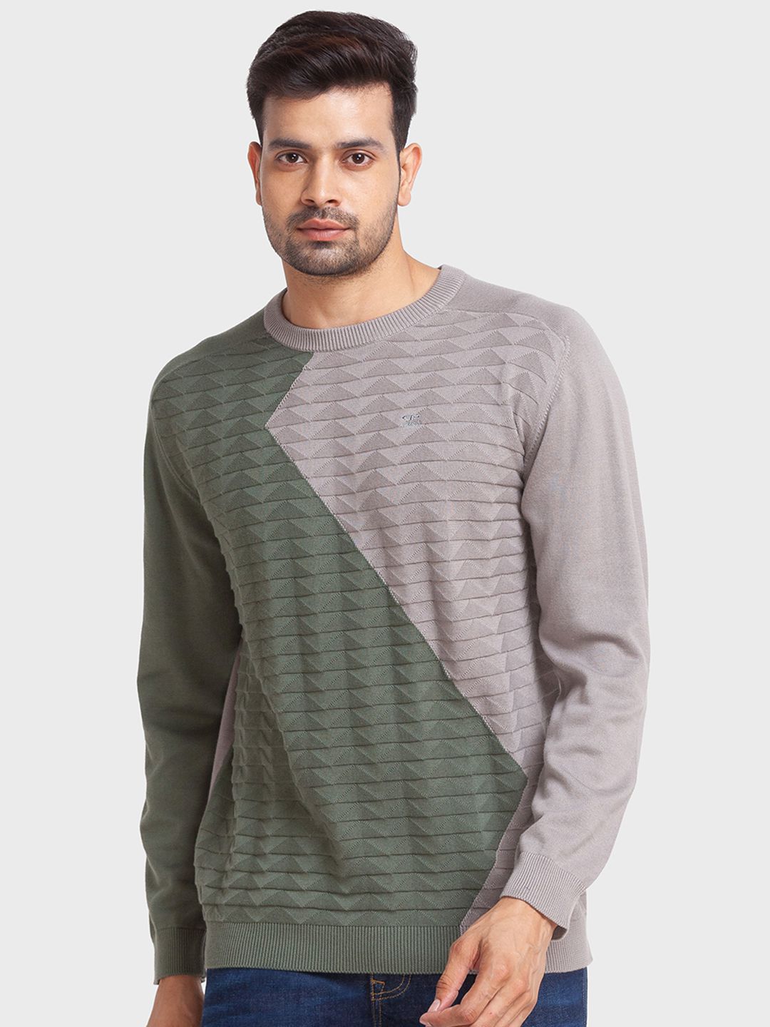     			Colorplus Cotton Round Neck Men's Full Sleeves Pullover Sweater - Green ( Pack of 1 )