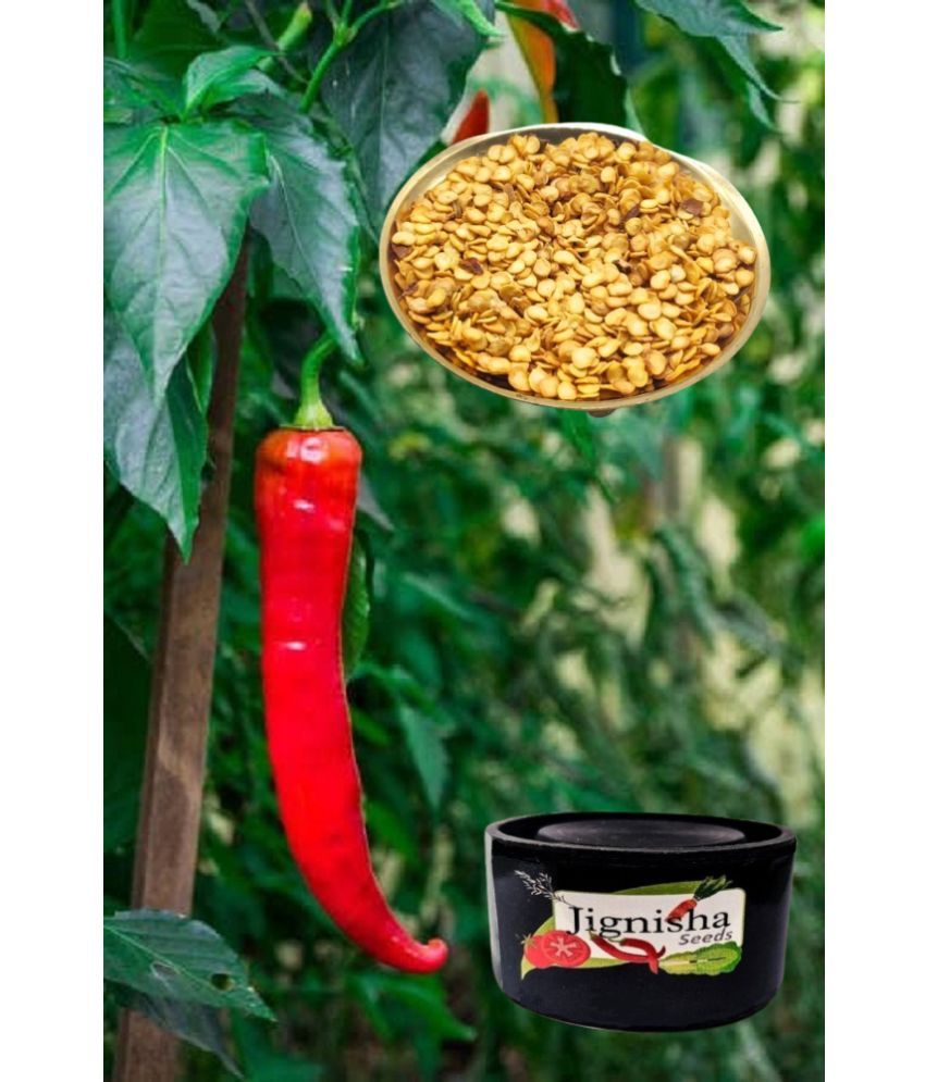     			Jignisha Fashion Chilli Vegetable ( 100 Seeds )