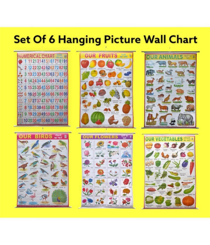     			Early Learning Educational Laminated Charts For Kids | | 100X75 cm | Set of 6 | Non-Tearable and Waterproof | Perfect for Homeschooling, Kindergarten and Nursery| Numbers, Birds, Animals