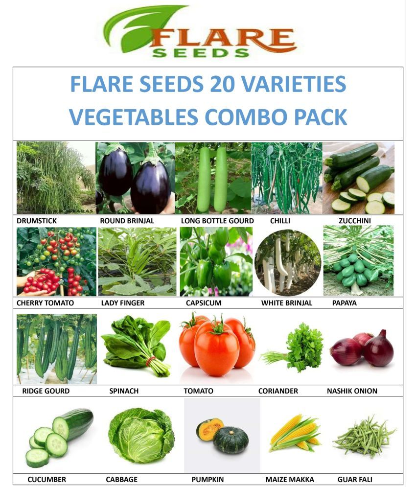     			FLARE SEEDS Mixed Vegetable 20 Varieties ( 20 Seeds )