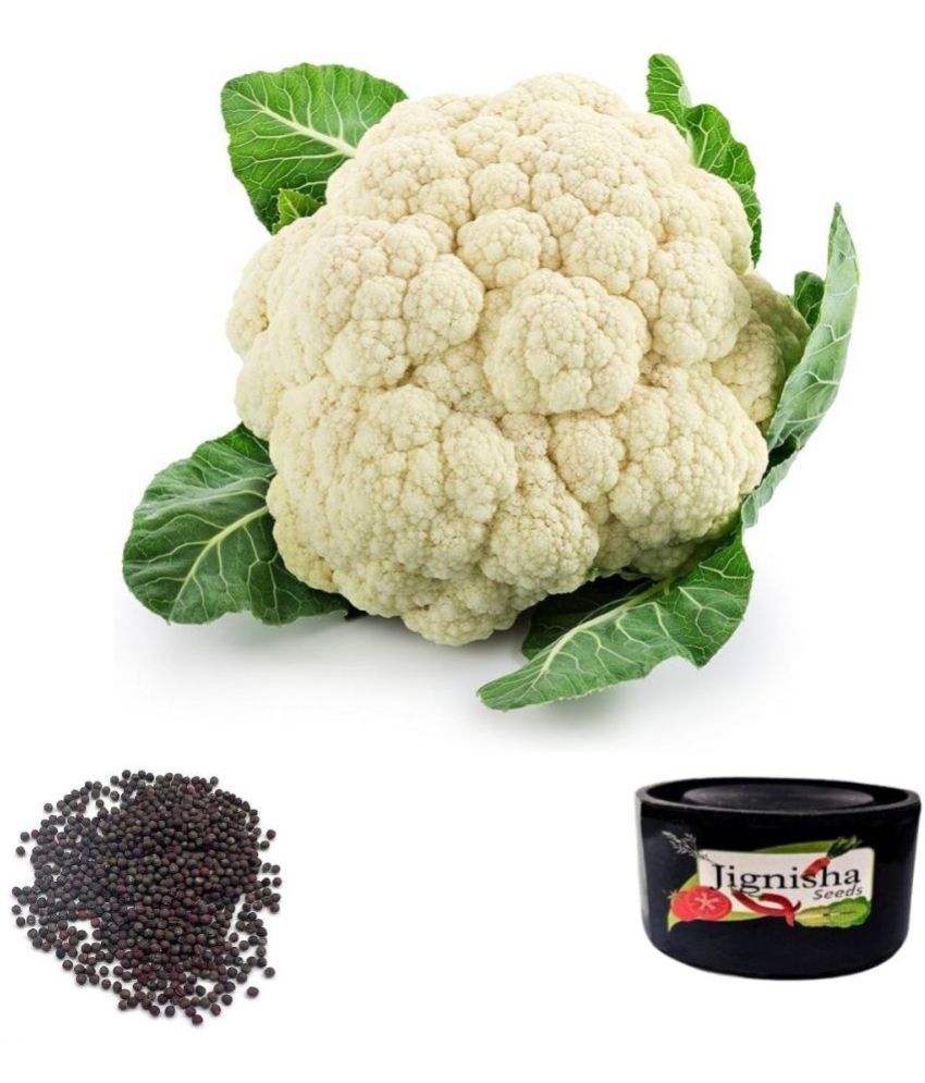     			Jignisha Seeds Cauliflower Vegetable ( 100 Seeds )