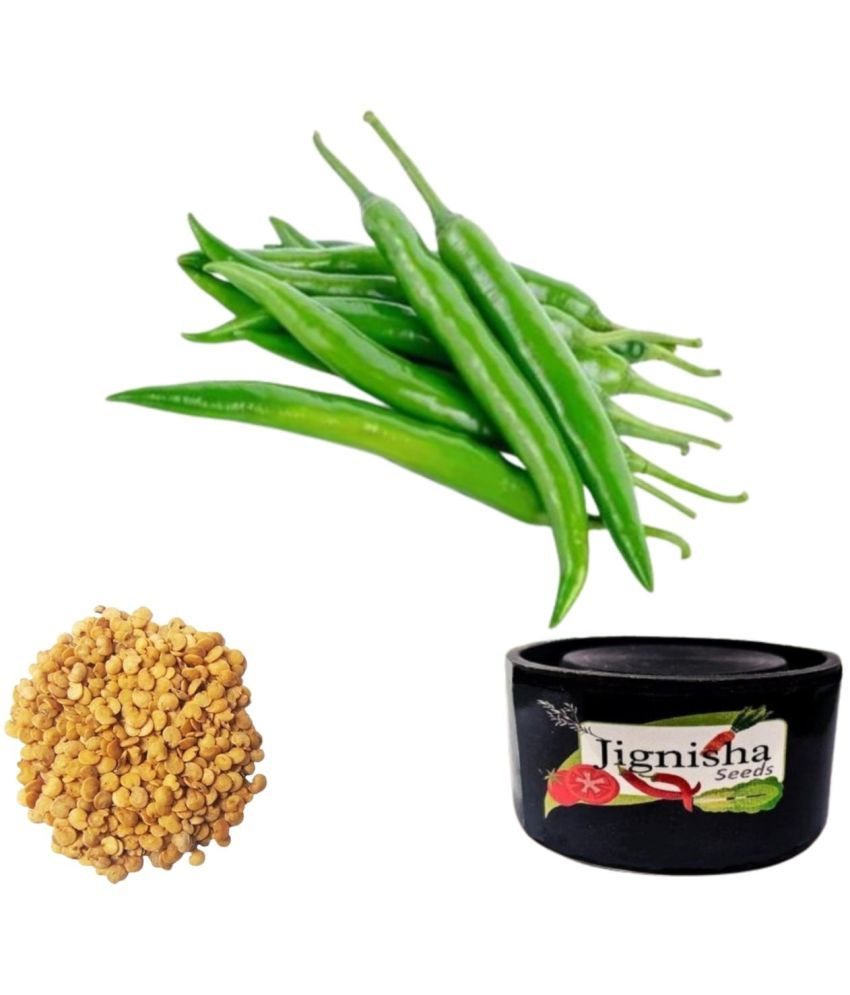     			Jignisha Seeds Green Chilli Vegetable ( 50 Seeds )