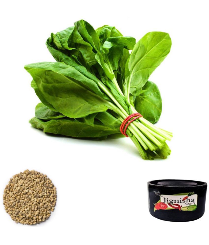     			Jignisha Seeds Spinach Vegetable ( 200 Seeds )